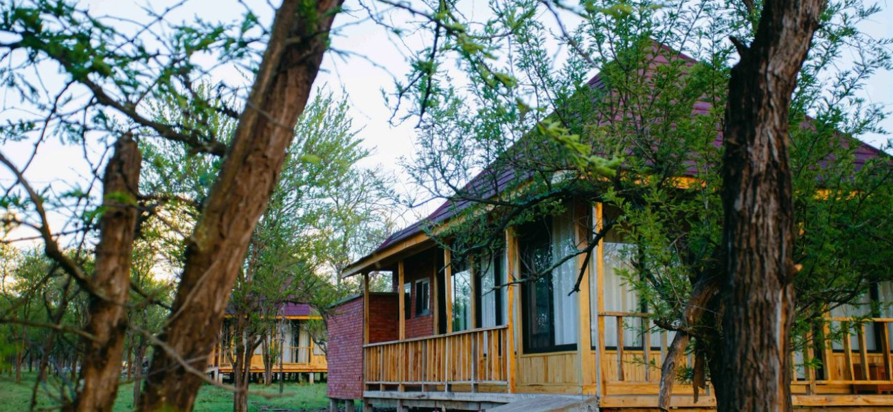 Into Wild Africa Luxury Safari Lodge