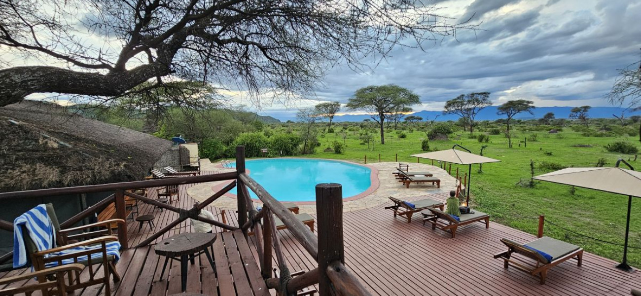 Tarangire Simba Lodge
