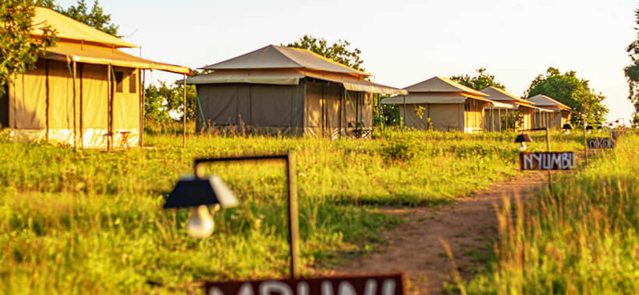 Sero Tented Camps | Luxury Safari Camps in Central Serengeti, North Serengeti & Ndutu