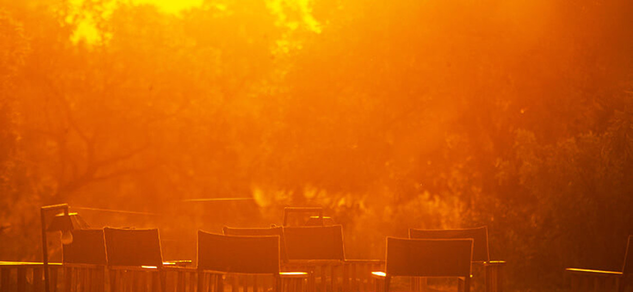 Sero Tented Camps | Luxury Safari Camp