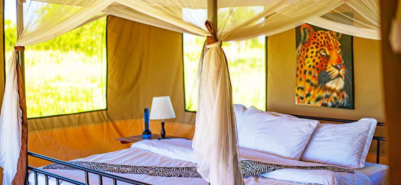 Luxury Safari Camps in Central Serengeti, North Serengeti & Ndutu