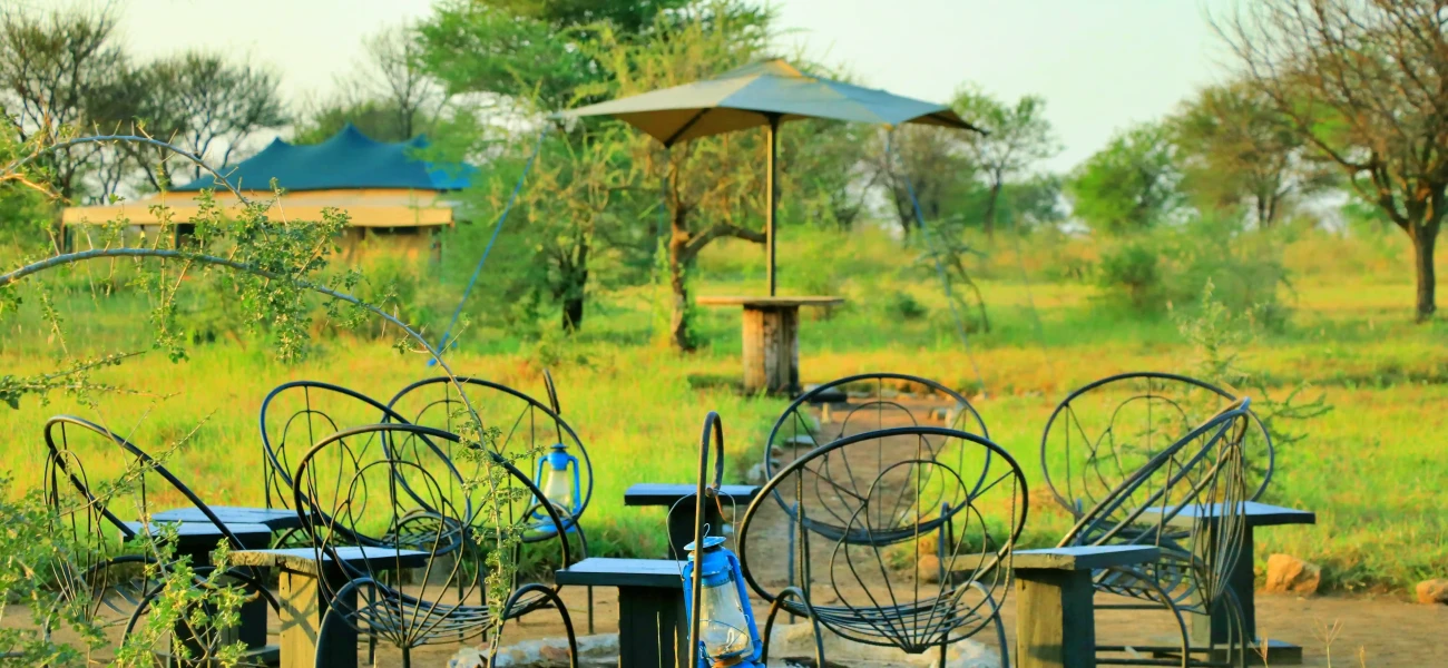 Tanzania Bush Camps | Serengeti, Ndutu & Kagatende Safari Lodges