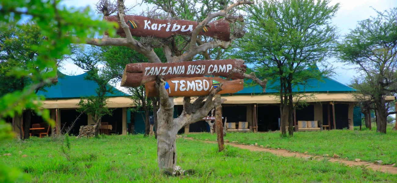 Tanzania Bush Camps