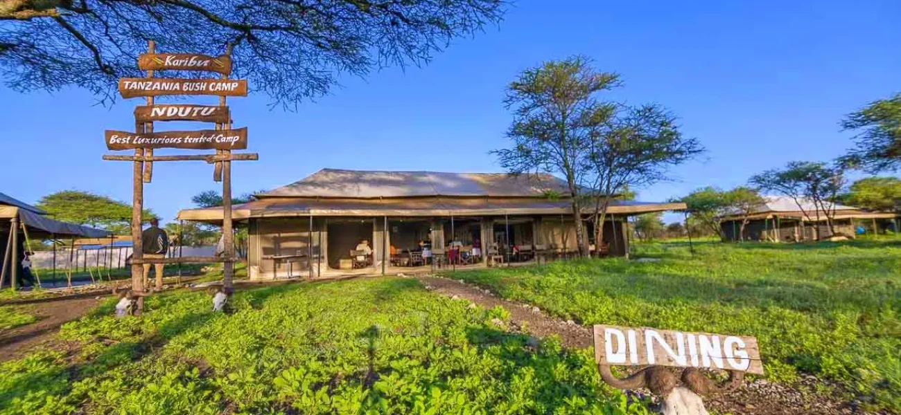 Tanzania Bush Camps Central