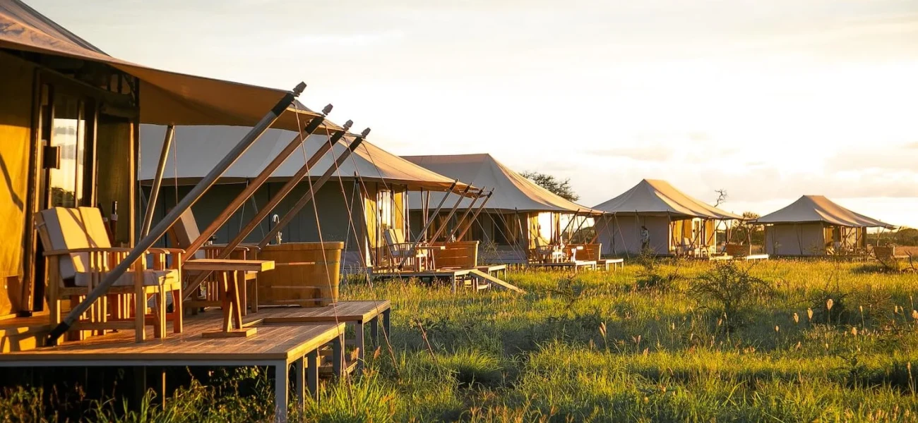 Dove Serengeti Camps  | Luxury Safari Accommodation 