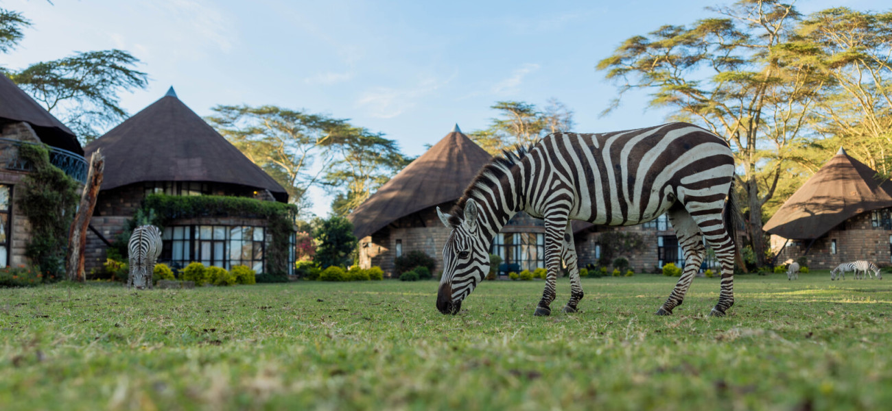 Lake Naivasha Sopa Resort | Accommodation in Naivasha, Kenya