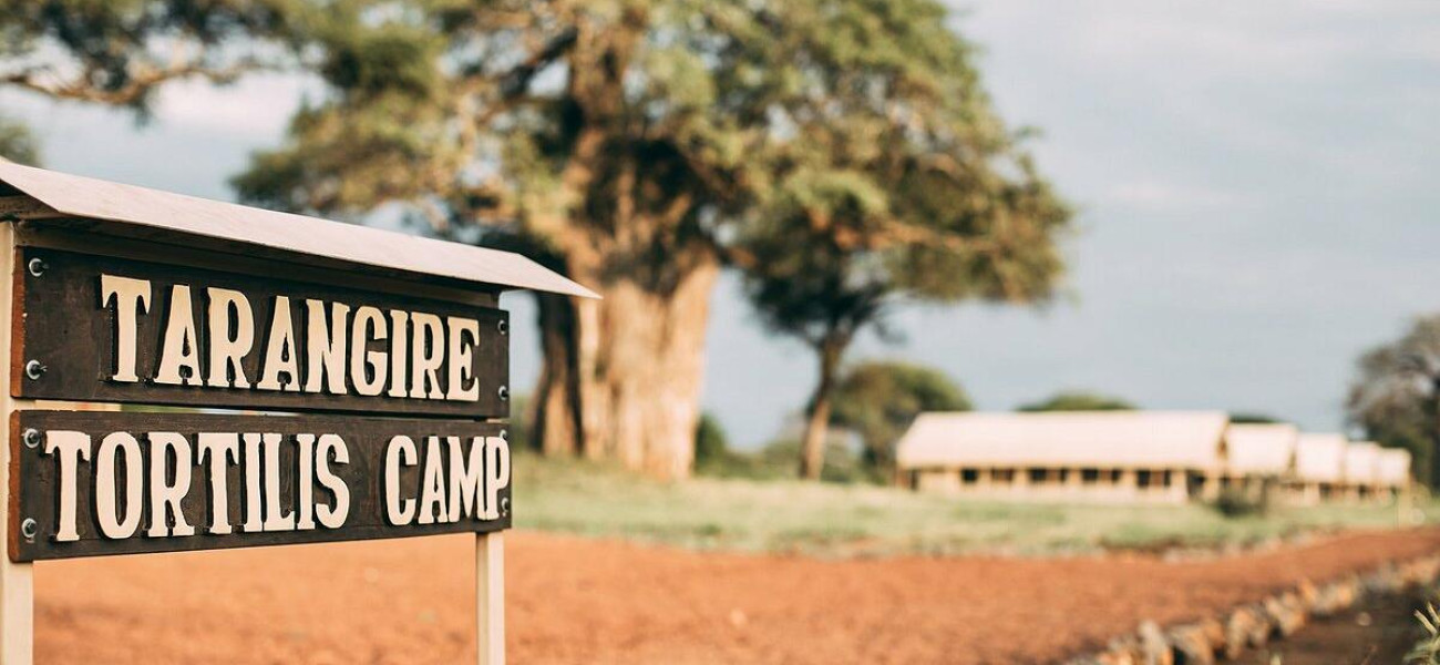 Tarangire Tortilis Camp | Luxury Safari Camp in Tanzania
