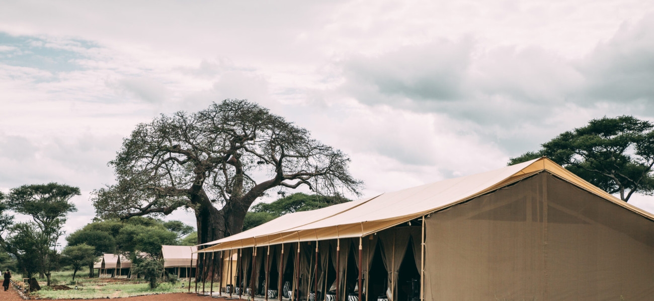 Tarangire Tortilis Camp surrounded by baobab trees in Tanzania