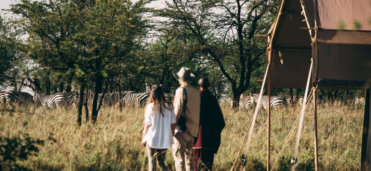 Serengeti Tortilis Camp offers an immersive safari experience in Tanzania with game drives, Great Migration viewing, bus