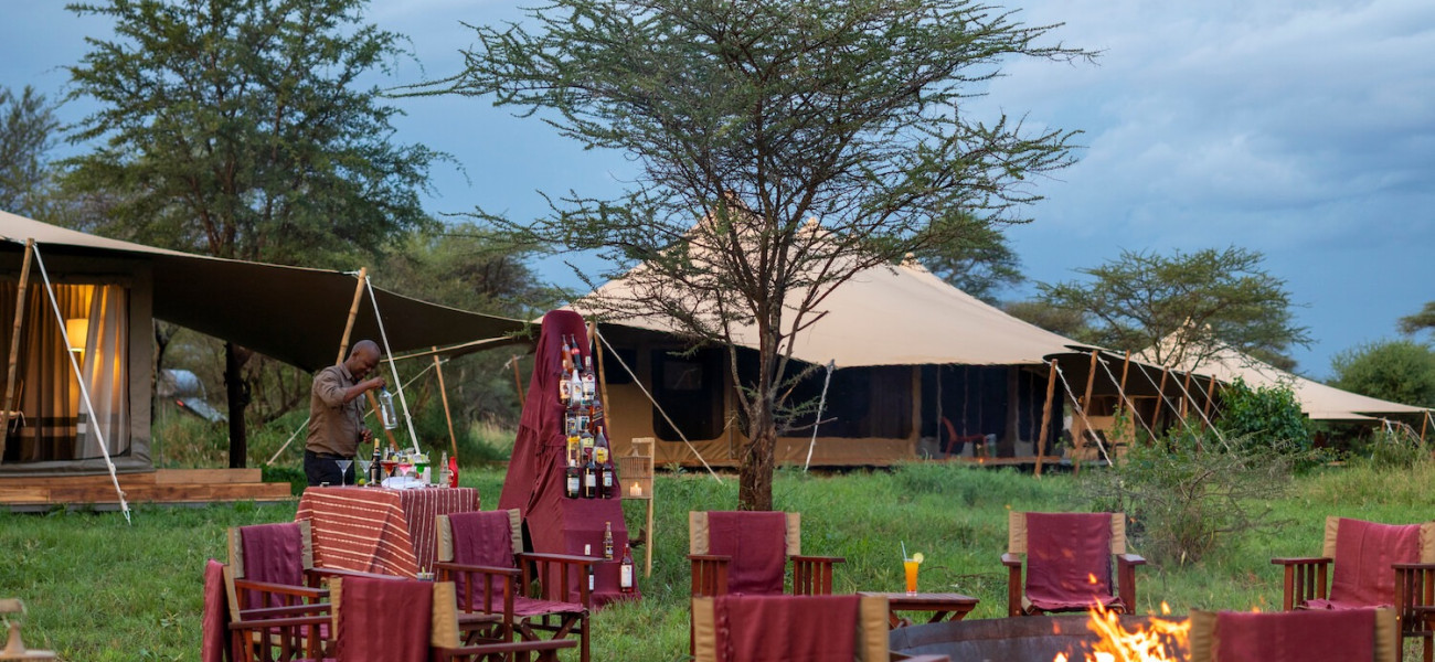Serengeti Acacia Bliss | Luxury Tented Camp in Serengeti