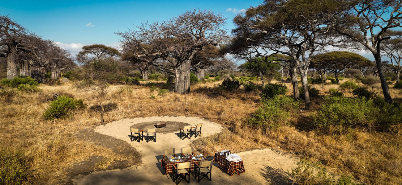Greenland Camp Tarangire luxury tent surrounded by ancient baobab trees in Tanzania.
