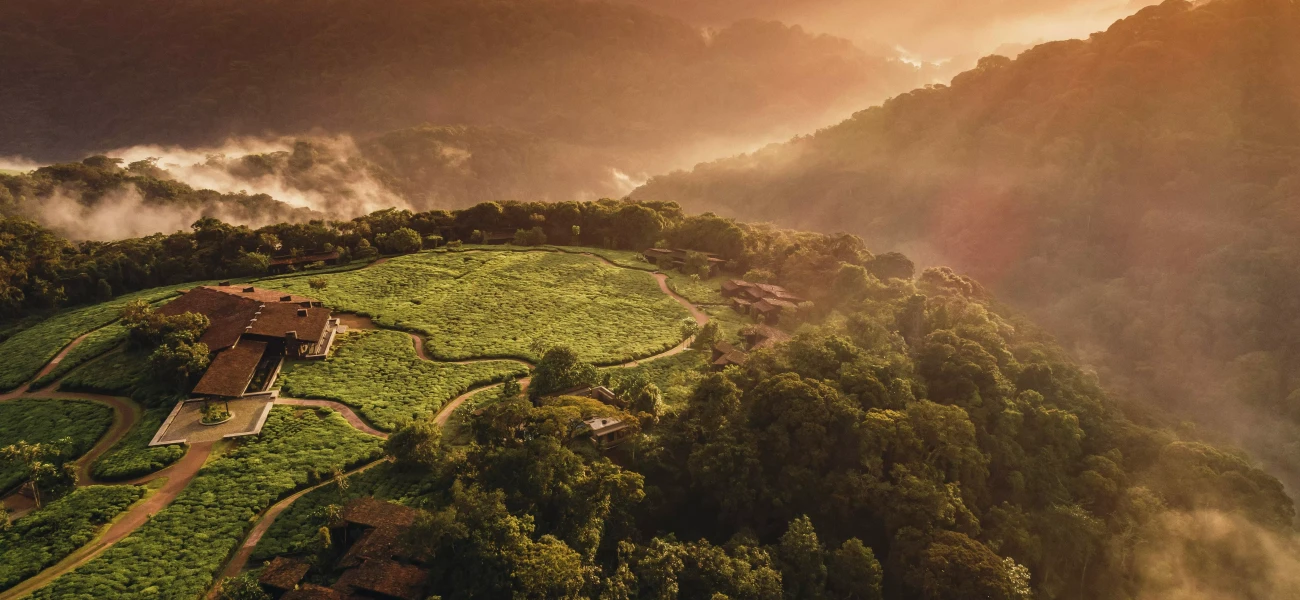 One&Only Nyungwe House | Luxury Rainforest Resort in Rwanda