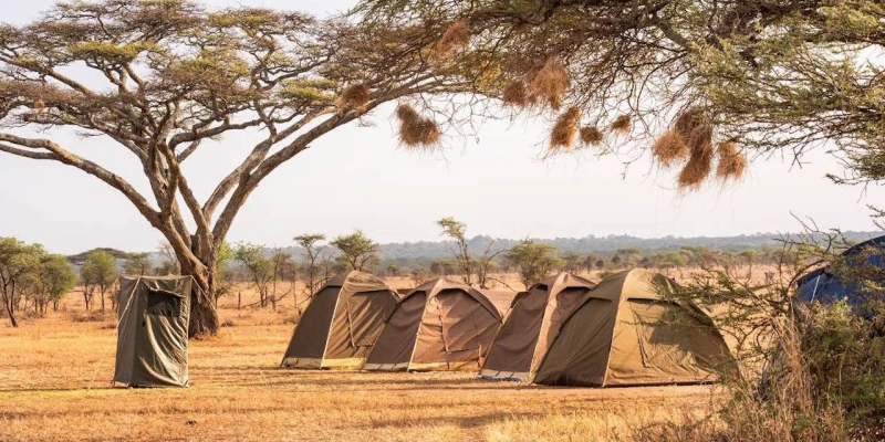 Budget Safari (approx. $150–$300 per person per day)