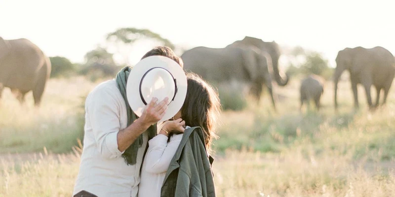 1. Experience Kilimanjaro, Safari, and Zanzibar