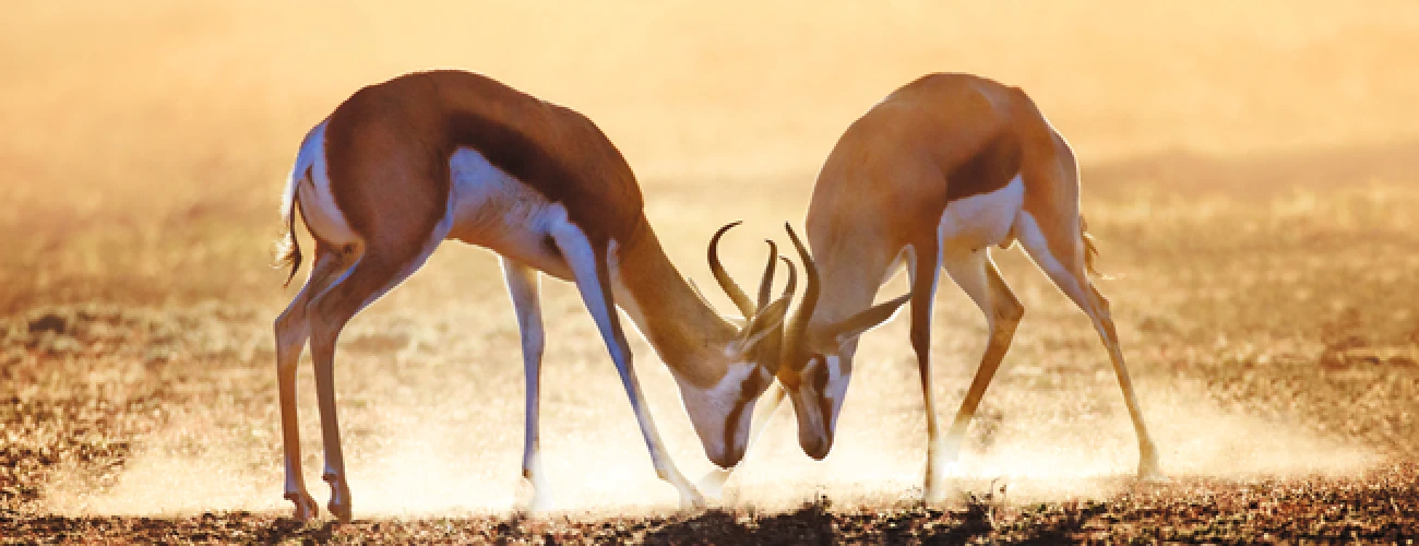 What to Know Before Visiting Tanzania