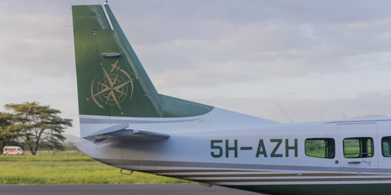Domestic Airlines in Tanzania