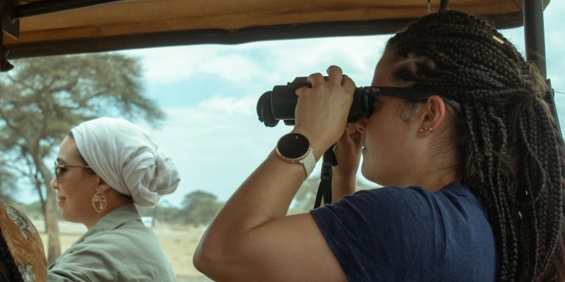 What Is a Game Drive