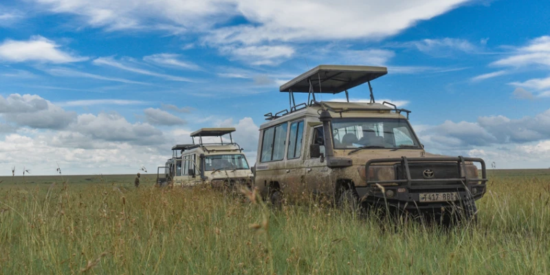 Best Time for a Game Drive