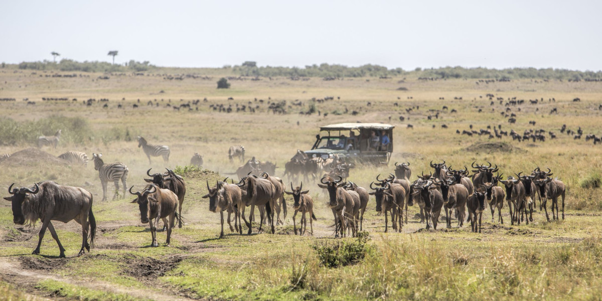 Maasai Mara Wildlife and Savannah Landscape