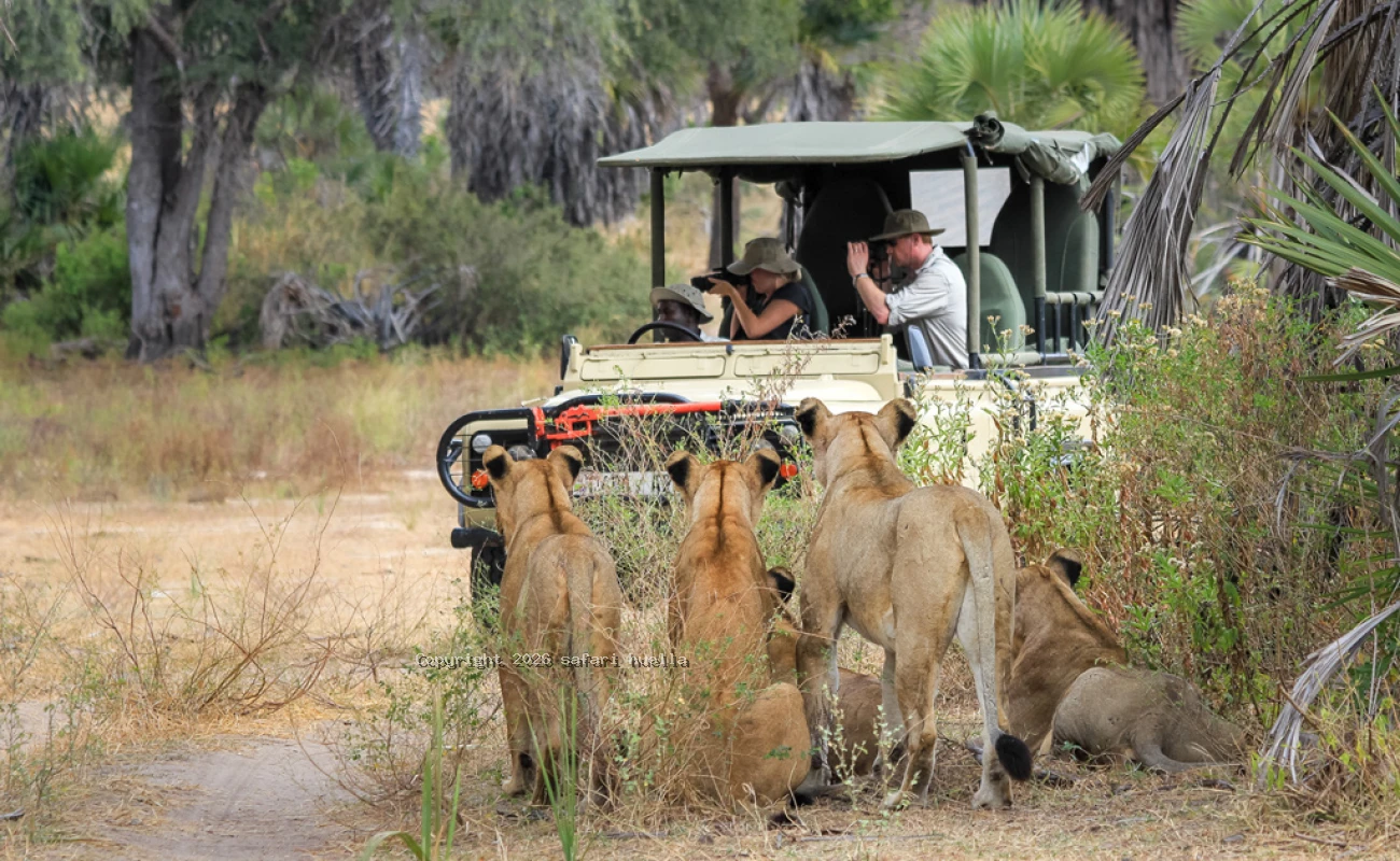 Nyerere National Park Safari | Tanzania