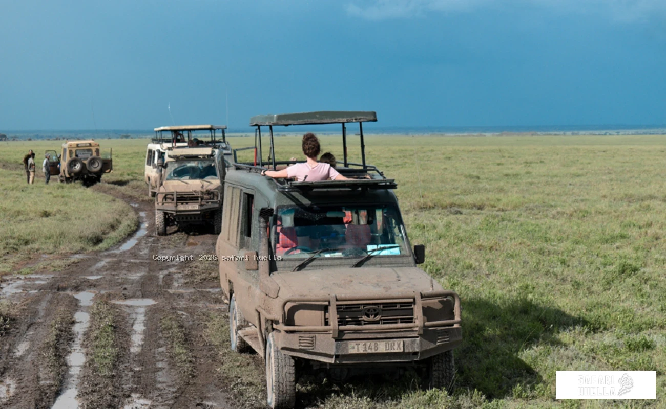 Tanzania Wildlife & Culture Safari Itinerary